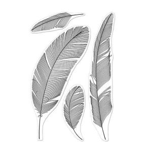 Hero Arts Feathers Stamp Set class=
