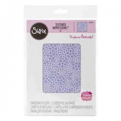 Sizzix Textured Impressions Embossing Folder - Flower Power