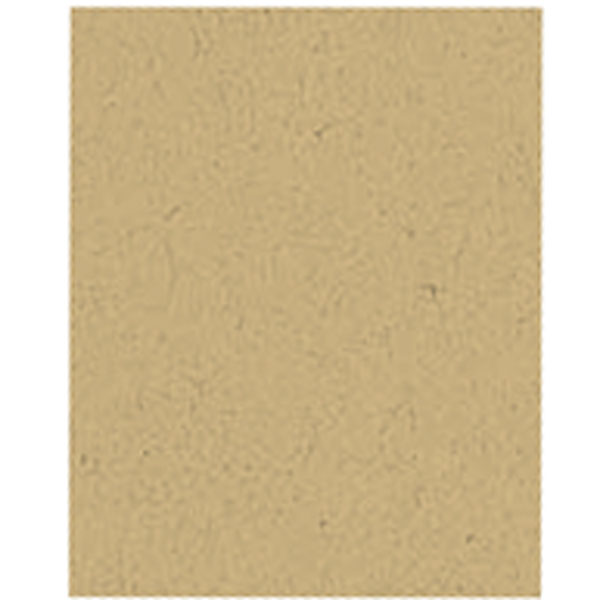 Neenah Cardstock Environment 100 LB SMOOTH DESERT STORM Paper Pack 25