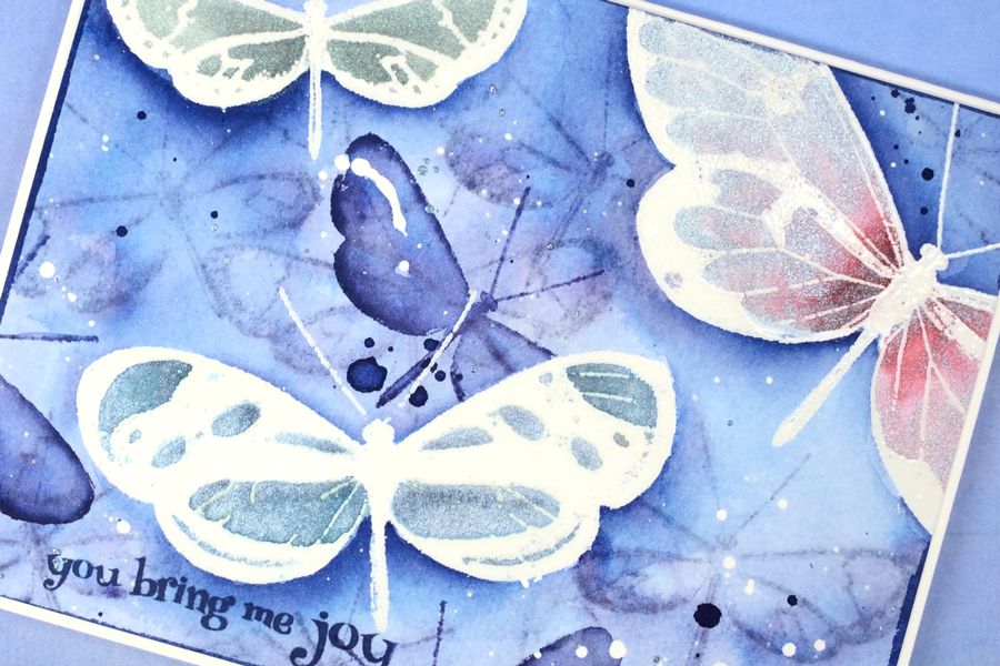 butterflies-telford-close-up
