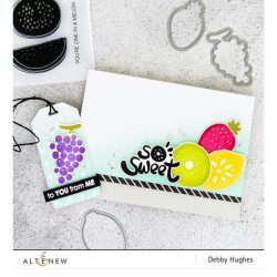 Altenew Simple Fruits Stamp Set