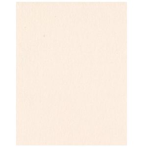 Pale Rose Heavy Cardstock – 10 sheets