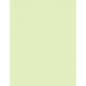 French Mints Heavy Cardstock – 10 sheets class=