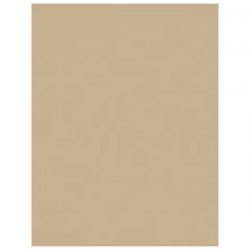 Chocolate Malt Heavy Cardstock – 10 sheets
