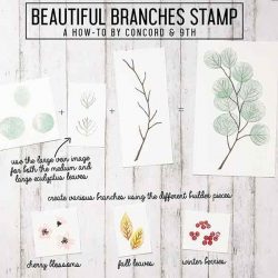 Concord & 9th Beautiful Branches Stamp Set