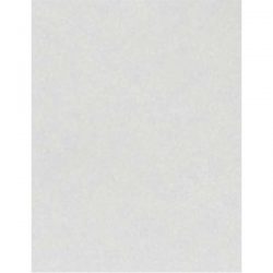 Shimmer Silver Cardstock – 10 sheets