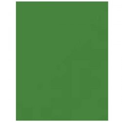 Caramel Apple Green 100lb. Heavy Card Stock - 10 sheets