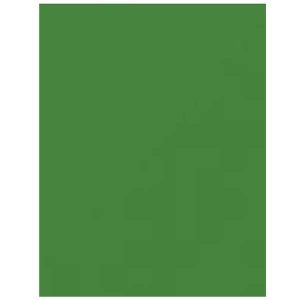 Caramel Apple Green 100lb. Heavy Card Stock - 10 sheets class=