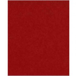 Peppermint Heavy Cardstock - 10 sheets