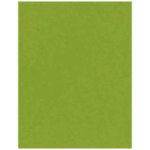 Easter Grass Heavy Cardstock - 10 sheets class=