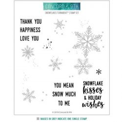 Concord & 9th Snowflakes Turnabout Stamp