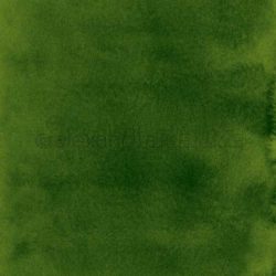 Alexandra Renke Design Paper – Dark Green Watercolor