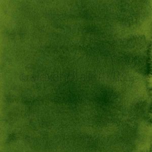 Alexandra Renke Design Paper – Dark Green Watercolor