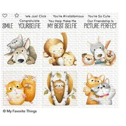 My Favorite Things BB Picture Perfect Stamp Set