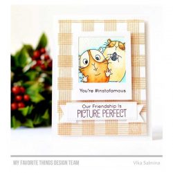 My Favorite Things BB Picture Perfect Stamp Set