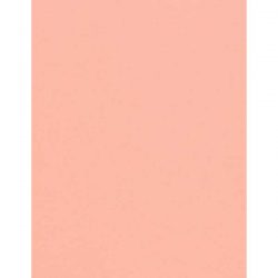 Coral Cardstock - 10 Sheets