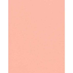 Coral Cardstock – 10 Sheets