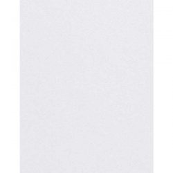 Luxe Grey Cardstock - 10 Sheets