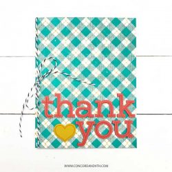 Concord & 9th Gingham Background Stamp Set