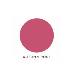 Papertrey Ink Autumn Rose Ink Cube class=