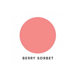 Papertrey Ink Berry Sorbet Ink Cube class=