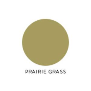 Papertrey Ink Prairie Grass Ink Cube class=