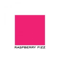 Papertrey Ink Raspberry Fizz Ink Cube