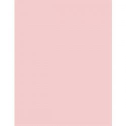 Rose Quartz Heavy 100 lb. Cardstock – 10 sheets
