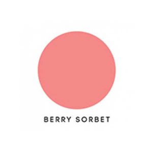 Papertrey Ink Felt – Berry Sorbet