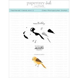 Papertrey Ink Feathered Friends Mini 3 Mini Stamp Set
