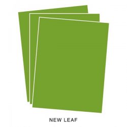 Papertrey Ink New Leaf Cardstock