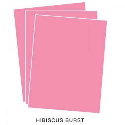 Papertrey Ink Hibiscus Burst Cardstock