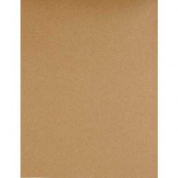 Foiled Fox Chipboard (8.5" x 11") - 5 pack