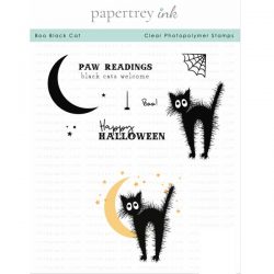 Papertrey Ink Boo Black Cat Stamp