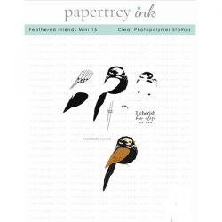 Papertrey Ink Feathered Friends Mini 15 Stamp