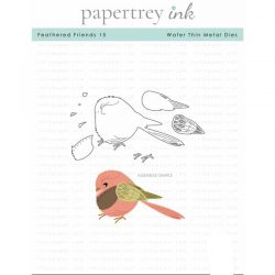 Papertrey Ink Feathered Friends 15 Die