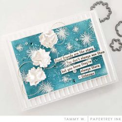 Papertrey Ink Inside Greetings: Quotes for Friendship Stamp