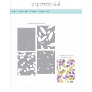 Papertrey Ink Berry Branches Stencil Collection (set of 4)