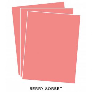 Papertrey Ink Berry Sorbet Cardstock