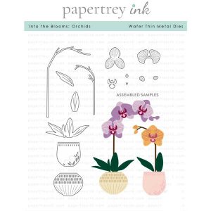 Papertrey Ink Into The Blooms: Orchids Dies