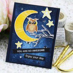 Papertrey Ink Happy Owl-O-Ween Die