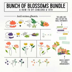 Concord & 9th Bunch of Blossoms Stamp Set