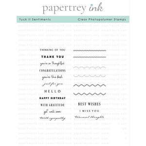 Papertrey Ink Tuck It Sentiments Stamp