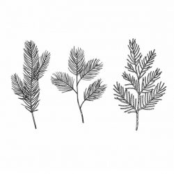 Spellbinders Betterpress Plate - Evergreen Branches