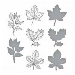 Spellbinder BetterPress Plate and Dies- Autumn Leaves