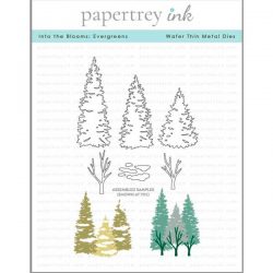 Papertrey Ink Into the Blooms: Evergreens