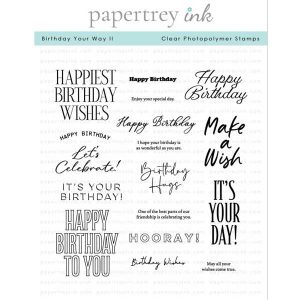 Papertrey Ink Birthday Your Way II Stamp