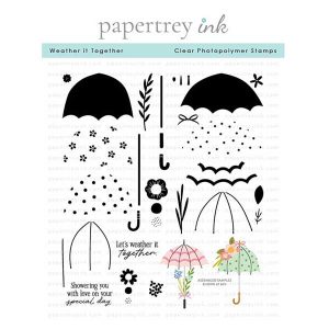 Papertrey Ink Weather It Together Stamp