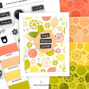 Concord & 9th Citrus Turnabout Stamp Set class=