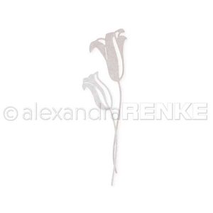 Alexandra Renke Big Calyx Flowers